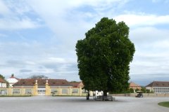 072-Schl